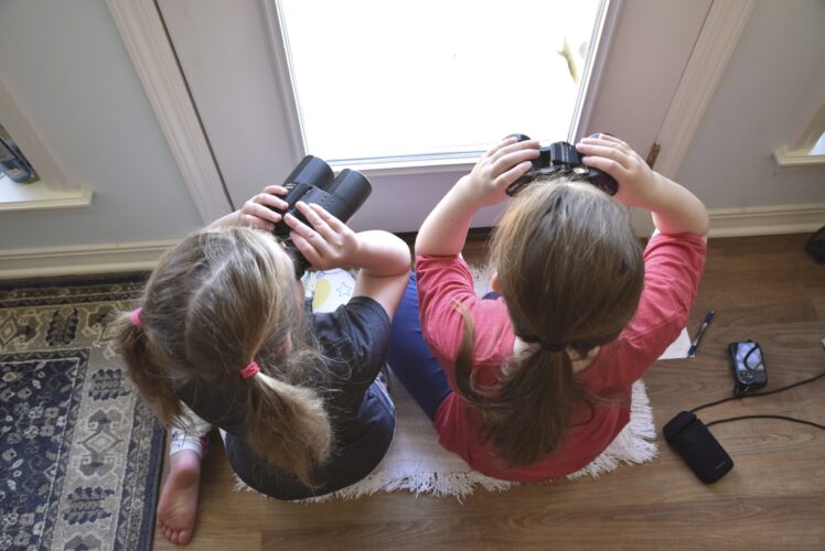 At 25, Backyard Bird Count shows power of citizen science